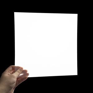 বিভাজক প্লেট